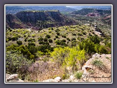 Palo Duro Canyon