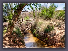 Palo Duro Canyon - Timber Creek