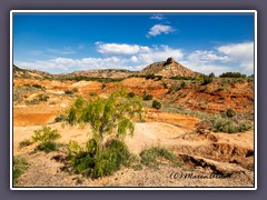 Palo Duro Canyon State Park