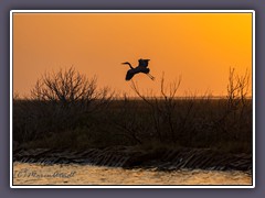 Port Aransas  - Abendstimmung im Aransas National Wildlife Refuge