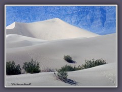 Death Valley - Mesquite Sanddünen