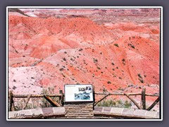 Painted Desert - Finding Fossils