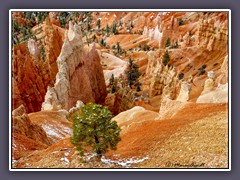 Bryce Canyon - Steinernes Amphitheater
