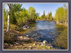 Teton NP -  Snake River