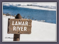 Am Lamar River