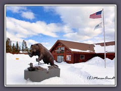 Grizzly and Wolf Discovery Center in West Yellowstone