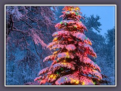 Weihnachtlich geschmückter Weihnachtsbaum