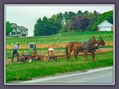 Lancaster - Landleben Amishstile
