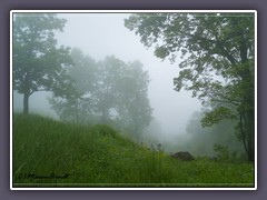 Blue Ridge Mountains - Shenandoah NP Tour von  Nord nach Süd