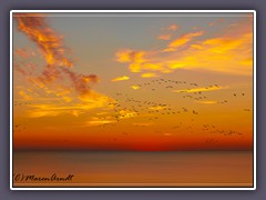 Abends am Weststrand