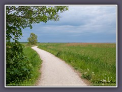 Radweg Ahrenshoop nach Born