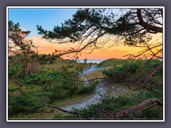 Dünenlandschaft am Leuchtturm Darßer Ort