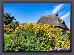 Herbst in Ahrenhooper Gärten