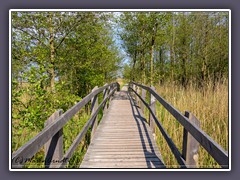 Im Nationalpark Vorpommersche Boddenlandschaft