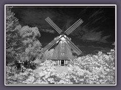 Infrarot - die Mühle in Ahrenshoop