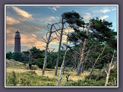 Leuchtturm und Windflüchter m Abendlicht