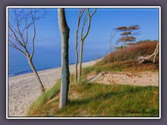 Meer - Wald - Dünen