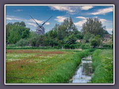 Mühle in Ahrenshoop - Boddenaussicht