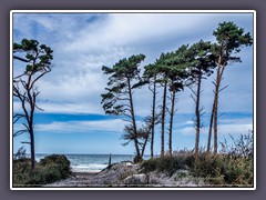 Müllerweg Impressionen