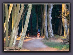 Per Rad durch den Urwald an den Westsrtand