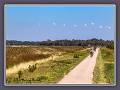 Radweg von Ahrenshoop nach Born