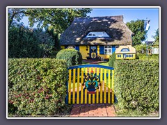 Reetdachhaus in Born