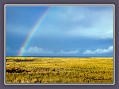 Regenbogenland - wer findet den Hirsch