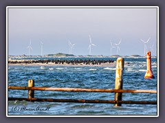 Schlafplatz Kormoran Sandbank