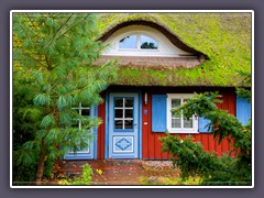 Typisch - Fischland Darß