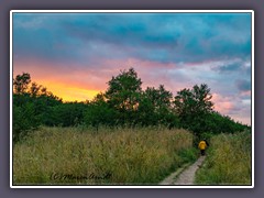 Wanderweg zu den Hirschen