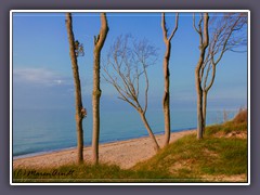 Weststrand  - ein Paradies