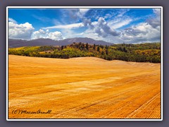 Erntezeit in Idaho