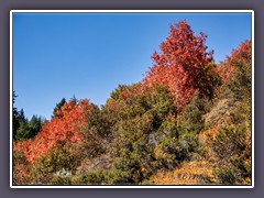 Herbst in Idaho am Highway 26