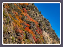 Herbstlook