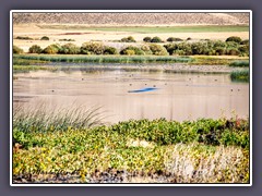 National Wildlife Refuge