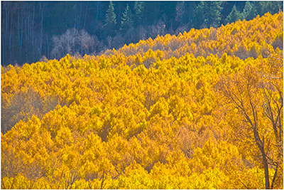  Rocky Mountains Autumn