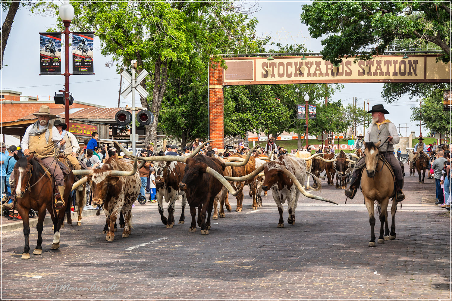 Fort Worth Stockyard