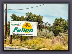 Fallon Oasis of Nevada