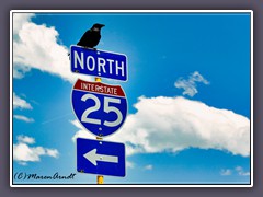 Von Denver aus auf  der Interstate 25 gen Norden