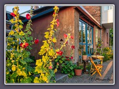 Sommer in Lohme - zum Hafen