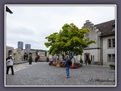 First Stop Schaffhausen