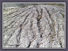 Unfruchtbares Land - Colorado Plateau Petrified Forest